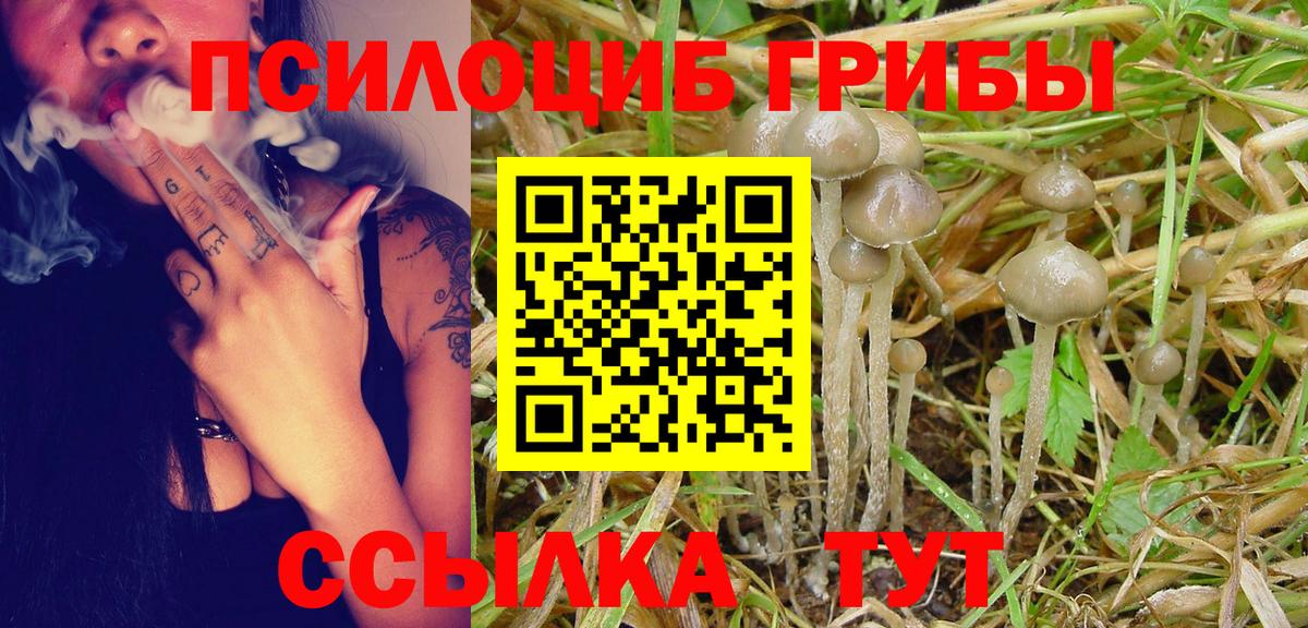 Алапаевск  Галлюциногенные грибы Psilocybine cubensis  Вход с VPN 